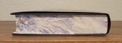 Signed Between Two Fires By Christopher Buehlman Broken Binding Special Edition