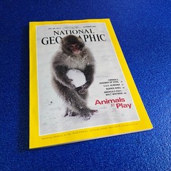 ANIMALS AT PLAY DECEMBER 1994 NATIONAL GEOGRAPHIC MAGAZINE FREE SHIPPING