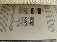 The Growing Brain An Essay in Developmental Neurology By M. C. H Dodgson