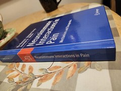Neuroimmune Interactions in Pain : Mechanisms and Therapeutics by Jianguo Cheng