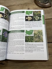The Forager’s Guide to Wild Foods – The North American Edition – Nicole Apelian