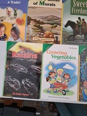 Lot Of 20 Level 3 Readers (Grade 3) Social Studies & Science