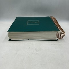 Illustrating BIBLE Holman Bible Publishers DaySpring 2017 leather bonded