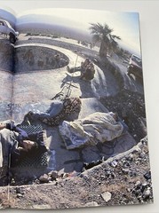 Dysfunctional Skateboarding Book First Edition by Aaron Rose 1999