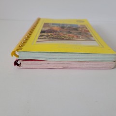 Lot of 2 Company’s Coming Preserves & Pies spiral bound by Jean Paré