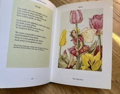 FLOWER FAIRIES OF THE SEASONS By Cicely Mary Barker – Hardcover Excellent