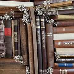Vintage Book Lot | BROWN Colors | Library Bookshelf Decor | Old Library Staging