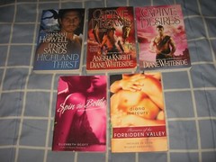 Lot of 18 Erotica Romance HEAT BRAVA BERKELEY RED AVON CERRIDWEN ELLORA’S CAVE++