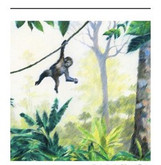 New York Times Magazine March 15 2026 Bili’s Journey Baby Gorilla Stephen Grosz