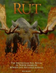 Rut: Spectacular Fall Ritual of North American Horned and Antlered Animals: Used