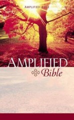 Amplified Bible Mass Market – Mass Market Paperback By Zondervan – GOOD