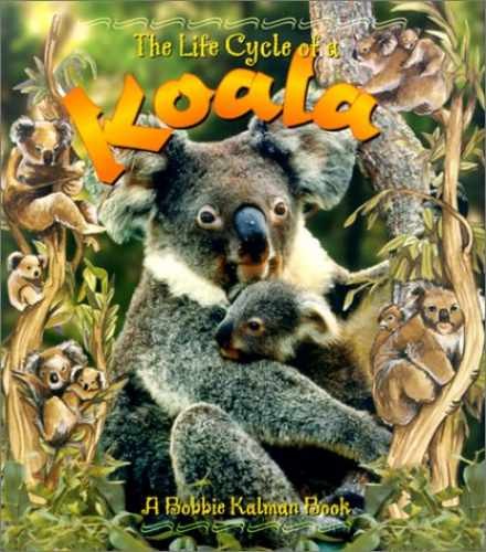 The Life Cycle of a Koala – Paperback, by Kalman Bobbie – Very Good