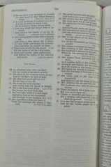 The Open Bible Expanded Edition NASB Brown Genuine Leather RL 1985 Nelson 976BR