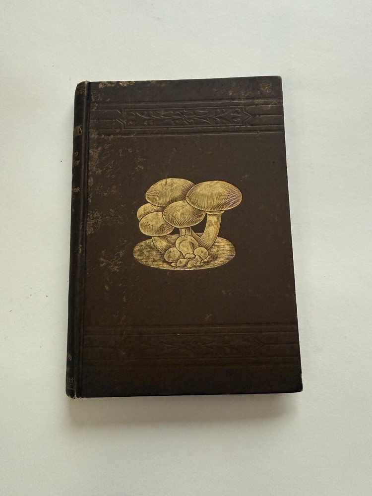 1900 Mushrooms How to Grow Them William Falconer Orange Judd HC Book