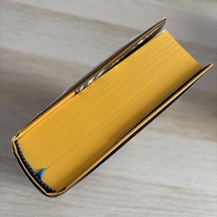 Hand signed The Broken Binding – The Dark Mirror- Samantha Shannon