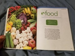 The Daniel Plan Ser.: The Daniel Plan : 40 Days to a Healthier Life by Daniel G…