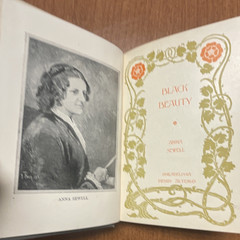 Henry Altemus Black Beauty by Anna Sewell Illustrated Hardcover, Altemus Series