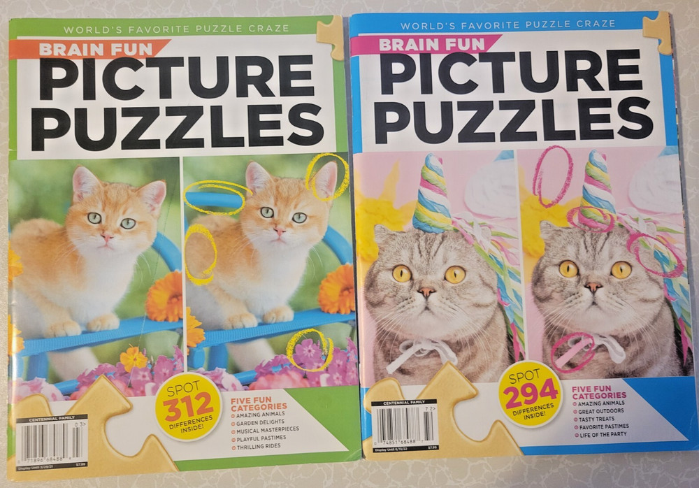 Brain Fun Picture Puzzles: Bundle of 2 – 63 Pages & 5 Categories of Fun In Each