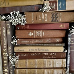 Vintage Book Lot | BROWN Colors | Library Bookshelf Decor | Old Library Staging