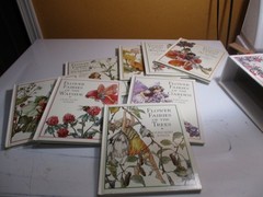 Flower Fairies Library by Cicely Mary Barker 8 Hardcover Books in Slipcase