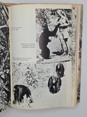 In The Shadow of Man 1971 Jane Van Lawick-Goodall HC DJ Book Club Edition