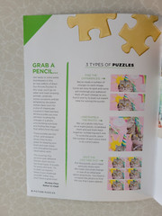 Brain Fun Picture Puzzles: Bundle of 2 – 63 Pages & 5 Categories of Fun In Each