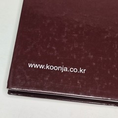 당뇨성 창상의 이해와 치료 (Management of Diabetic Wound) by Han Seung-kyu (한승규) 2008 Korean