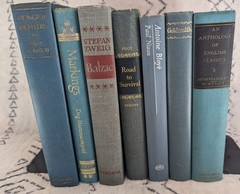 Vintage book lot – decoration, props, staging, reels – 10 lbs Babble of Blue
