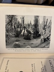 Cactus Culture Vintage 1932HC Book By Ellen D. Schulz