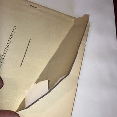 chastisement of a bearer of false witness by Albert Pike, 1889 1st stapled wrap