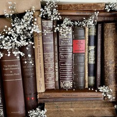 Vintage Book Lot | BROWN Colors | Library Bookshelf Decor | Old Library Staging