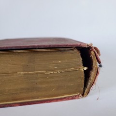 Set of Five Antique Books on Various Subjects