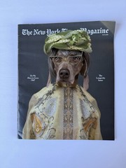 New York Times Magazine NYT May 10, 2026 The Longevity Issue Life Extension