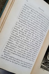 1895 Hypnotism Foveau de Courmelles – Antique Occult Psychology Book Hypnotism