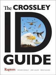 The Crossley ID Guide: Raptors (The Crossley ID Guides) – Flexibound – VERY GOOD