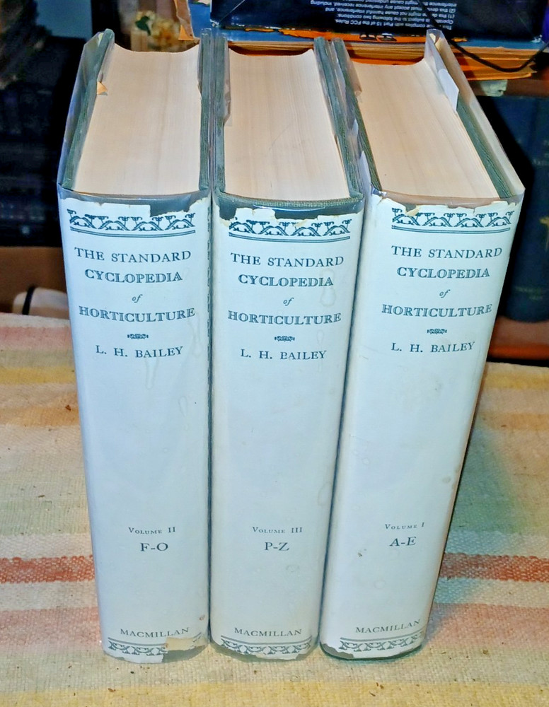 STANDARD CYCLOPEDIA OF HORTICULTURE 3 Vol. 3500ppHc Dj by L.H.Bailey 1928