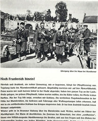 Division Sintzenich – Fall of France – WW II 1941 German Army Unit History