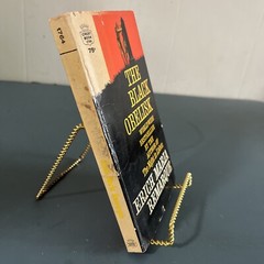 Vintage 1957 The Black Obelisk by Erich Maria Remarque PB Germany in the 1920s