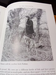 MY LIFE WITH LURCHERS – DAVID HANCOCK; Hardback 114 pages 1989 LURCHERS LONGDOGS