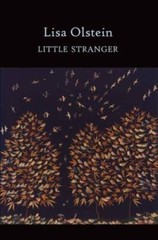 Little Stranger (Lannan Literary Selections) – Paperback By Olstein, Lisa – GOOD