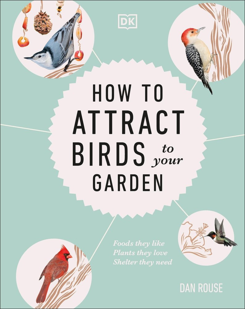 How to Attract Birds to Your Garden: Foods they like, plants they love, shel…