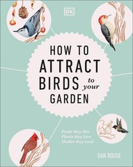 How to Attract Birds to Your Garden: Foods they like, plants they love, shel…