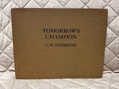 Tomorrow’s Champion by C. W. Anderson
