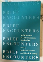PB Edition BRIEF ENCOUNTERs Judith Kitchen Dinah Lenney Contemporary Nonfiction