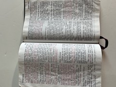 Holy Bible NIV Zondervan 1986 Red Bonded Leather – Preowned (X10)