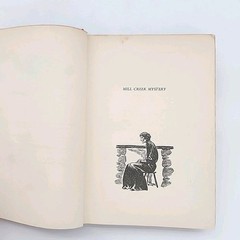 Mill Creek Mystery by Maristan Chapman Hardcover Vintage 1940 Book