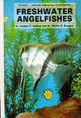 Freshwater Angel Fishes – Hardcover By Axelrod, Herbert R. – GOOD