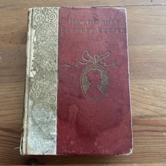 Hawthorne’s Scarlet Letter By N. Hawthorne 1893 Henry Altemus small HC Edition