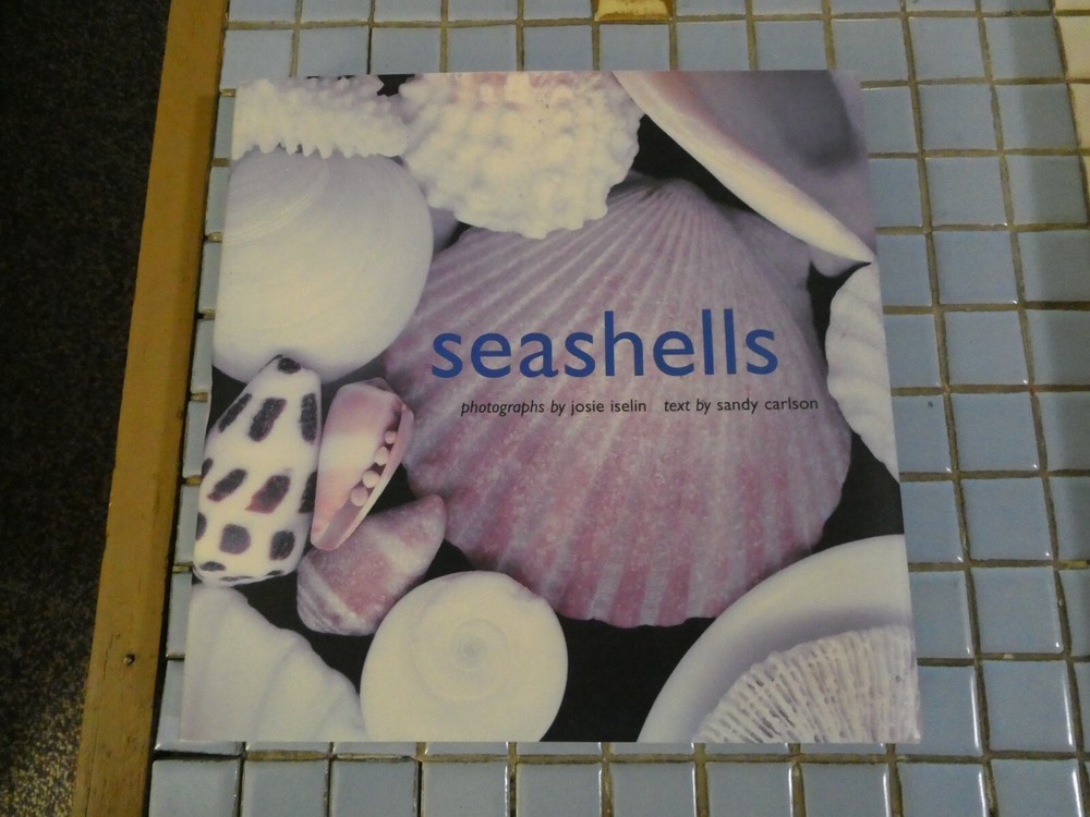 seashells h/c d/c illustrated 143 pages photos josie iselin text sandy carlson