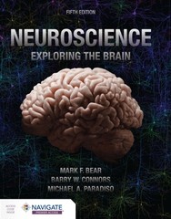 NEUROSCIENCE EXPLORING THE BRAIN by BEAR, MARK Paperback Self Help Business